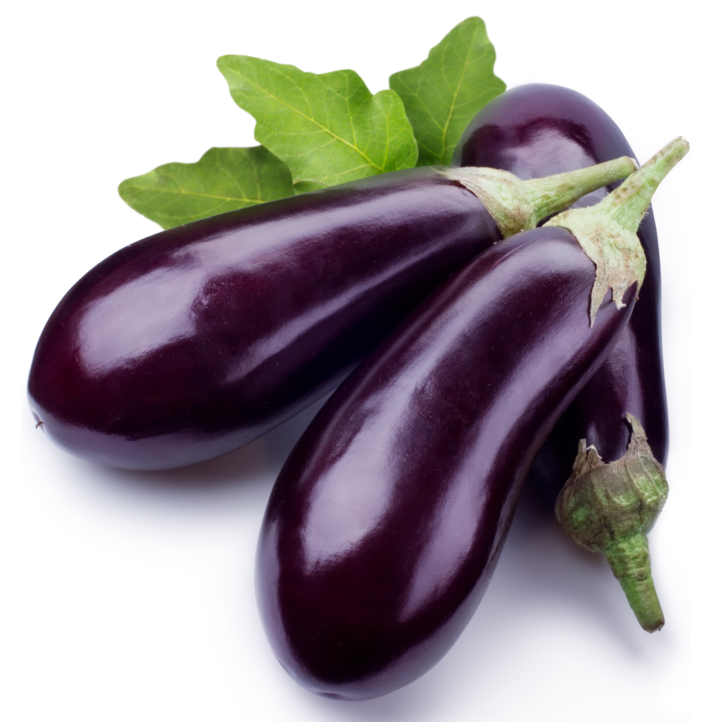 aubergine | the heart thrills